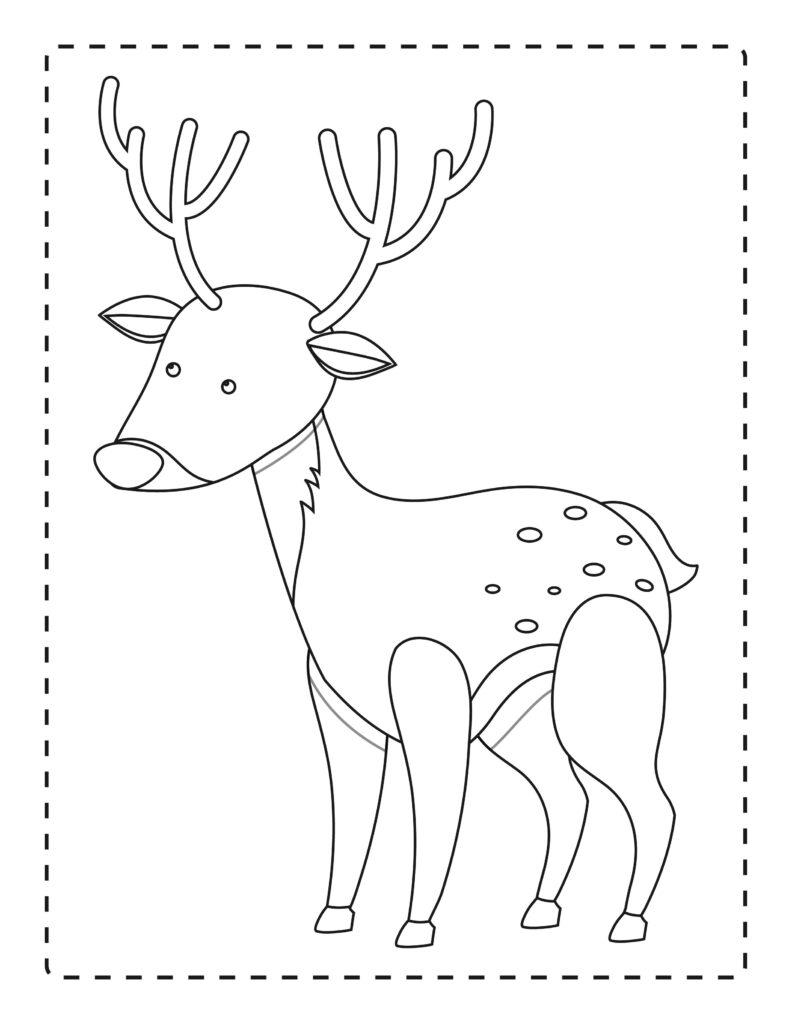 Animals in Your Colors: An Amazing Coloring Book"